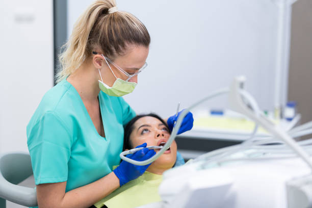 Best Emergency X-Rays and Diagnostics in Benson, MN